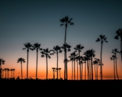 Studera i Los Angeles, Studer i Los Angeles
